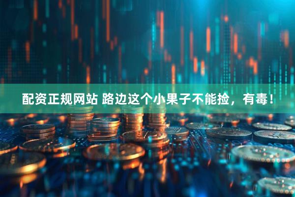 配资正规网站 路边这个小果子不能捡，有毒！