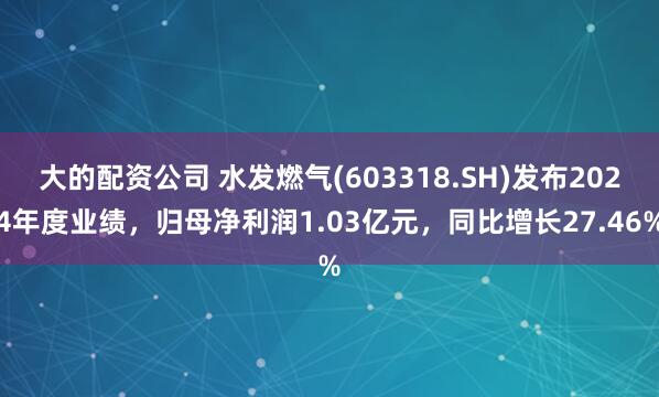 大的配资公司 水发燃气(603318.SH)发布2024年度业绩，归母净利润1.03亿元，同比增长27.46%