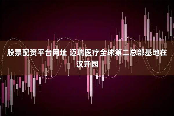 股票配资平台网址 迈瑞医疗全球第二总部基地在汉开园