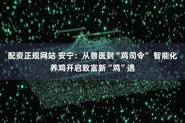 配资正规网站 安宁：从兽医到“鸡司令” 智能化养鸡开启致富新“鸡”遇
